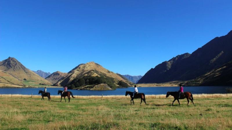 Take our beautiful horses out for a trek through the scenic valley's of Gills Creek, just 20 minutes from central Queenstown. 